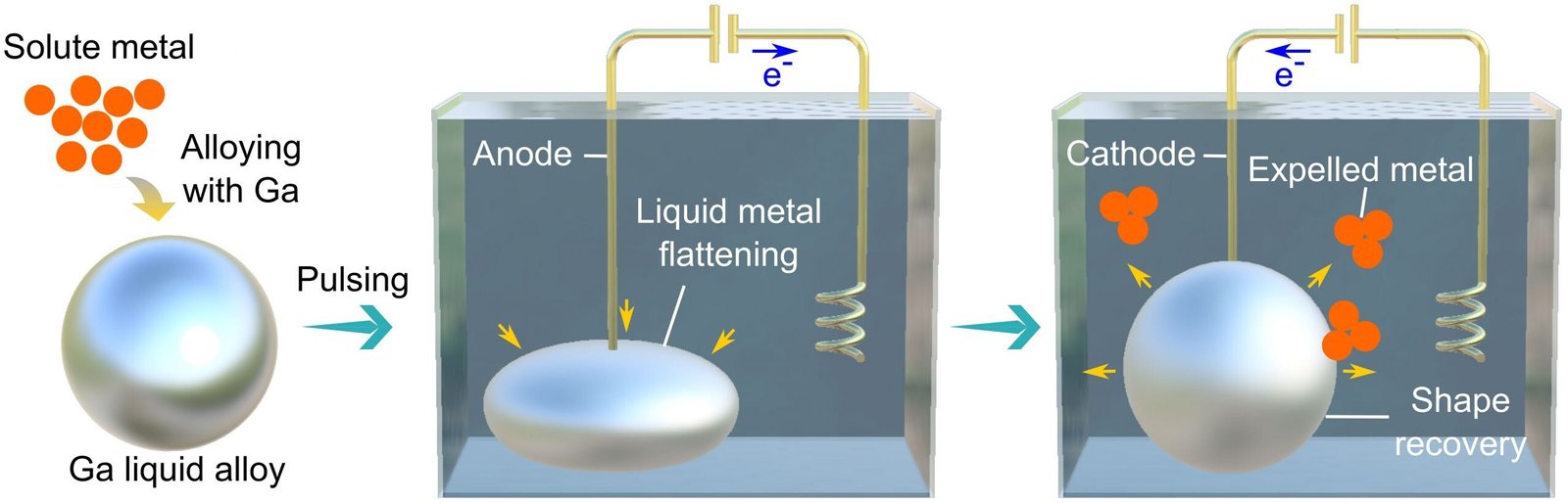 Experimental set up. Courtesy: FLEET