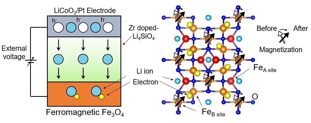 After applying an external voltage, lithium ions flow through the reduction-oxidation transistor and reach the bottom magnetite film, altering its charge carrier concentration and modifying the orientation of Fe spins. Courtesy: Tohru Higuchi, Tokyo University of Science.