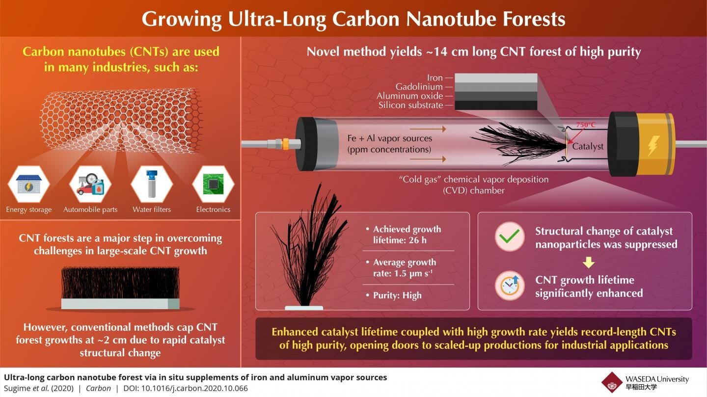 Scientists from Japan have proposed a way to ensure longer catalyst lifetime and higher growth rate, creating a CNT forest that is a record seven times longer than any existing CNT array. Courtesy: Waseda University.