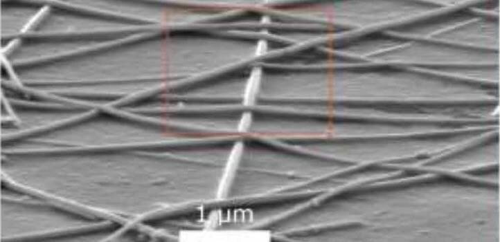 A scanning electron microscope image of the tiny silver nanowires. Courtesy: Li et al, Creative Commons 4.0 license.