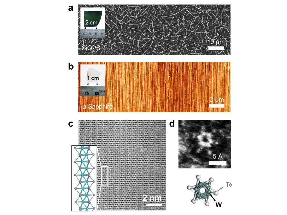 Atomic-scale nanowires can now be produced at scale