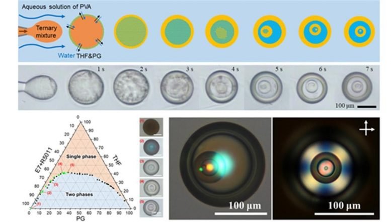 Liquid crystal particles with multiple layers formed through phase separation process developed by KIST-KAIST joint research team. Courtesy: Korea Institue of Science and Technology (KIST)
