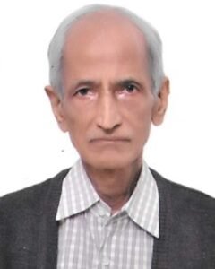 Dr Yashwant R Mahajan nano digest