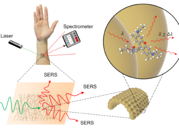 SERS spectroscopy portable chemical sensor noodles gold. nano digest