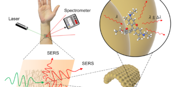 SERS spectroscopy portable chemical sensor noodles gold. nano digest