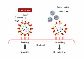 protein and RNA of SARS-CoV-2 automised water particles nano digest