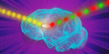 Fluorescent sensor insight living cells