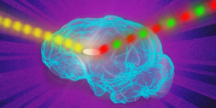 Fluorescent sensor insight living cells