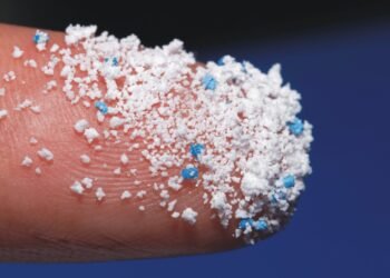 Nanoplastics, microplastics, plastic waste, Nano Digest