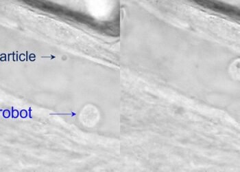 Neutrobot  nanoparticle Medical Microrobots nano digest
