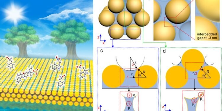 Novel SERS Method Developed to Capture Target Molecules nano digest