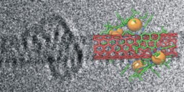 Metallacycles carbon nanotubes TEM SWCNT Nano Digest