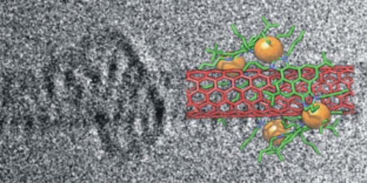 Metallacycles carbon nanotubes TEM SWCNT Nano Digest