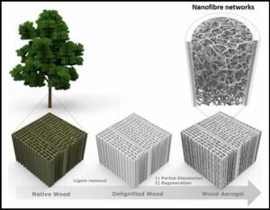 Nanostructured, Wood-based Aerogel, Anisotropic, Super-insulating, Thermal Properties, nano digest