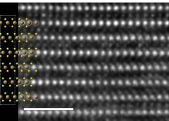 Important Advances in 2D Material nano digest