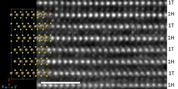Important Advances in 2D Material nano digest