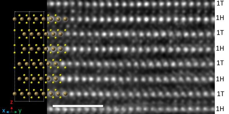 Important Advances in 2D Material nano digest