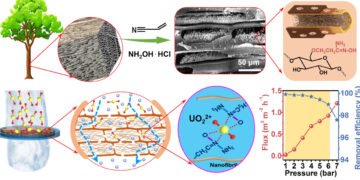 Biological nanofibrils, precious metal elements, water, Nano Digest.