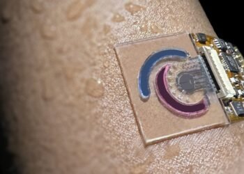 wearable sensor , human sweat, nano digest