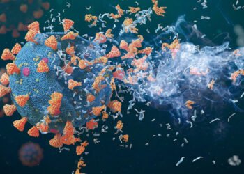 Intermediary, disinfectant, SARS, Zika, nano digest.