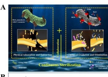 -killer" for sterilization under painting, nano digest