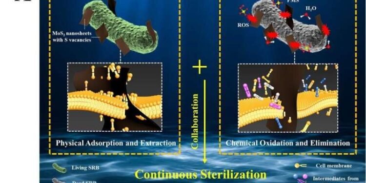 -killer" for sterilization under painting, nano digest