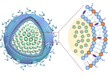 Glass bubble, nano carrier, pancreatic cancer, nano digest