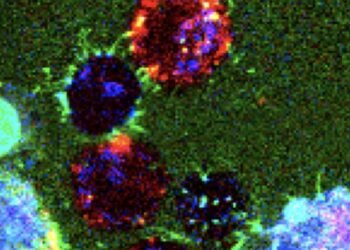 Nanopipes, nano digest