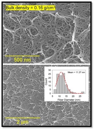 SEM micrographs, nano digest