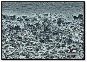 Scanning electron micrograph, nano digest