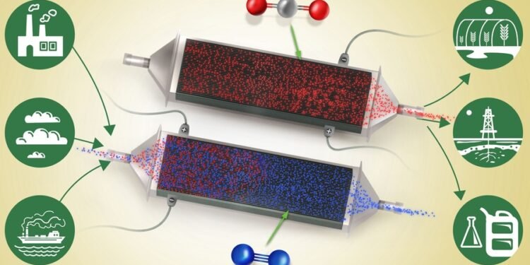 Challenge of Carbon removal, nano digest