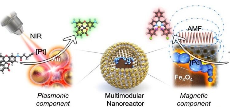 accurate control catalytic reactions nano digest