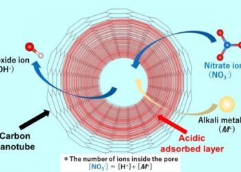 SWCNTs to replace anionic impurities, Nano Digest