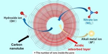 SWCNTs to replace anionic impurities, Nano Digest