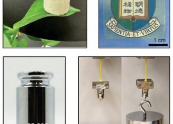 Transparent, Drug-resistant, aerogels, anti-inflammatory, nano digest.