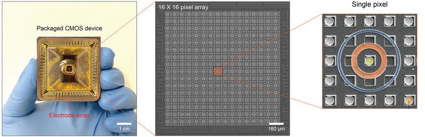 CMOS chip, array, transistors, Neural netwroks, water, nano digest.