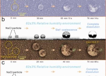 New superhydrophobic coating nano digest.