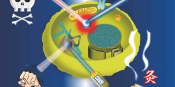 Heat up the hand one cell at a time,Thermodynamic, Cells, temperatures, cellular activity, nano digest.