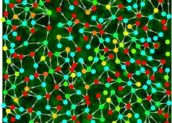 Cells, bind, stimuli, nano digest