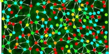 Cells, bind, stimuli, nano digest