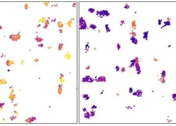tiny particles, two-dimensional, , nano digest