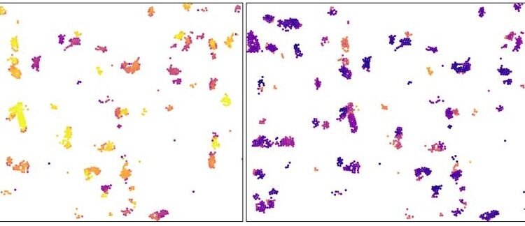tiny particles, two-dimensional, , nano digest