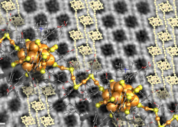 Researchers learning to engineer the growth of nanometer-sezed gold clusters, Nano Digest.