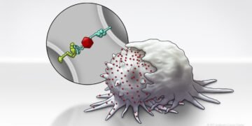 Nanotechnology Platform Enables Reprogramming of Cancer Cells' Immune System, Enabling Immunotherapy, Nano digest.