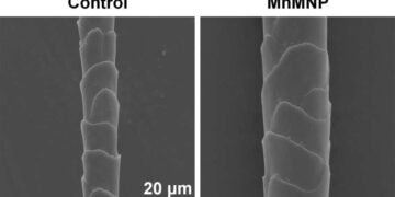 New needle patch hair in bald mice, Nano Digest.