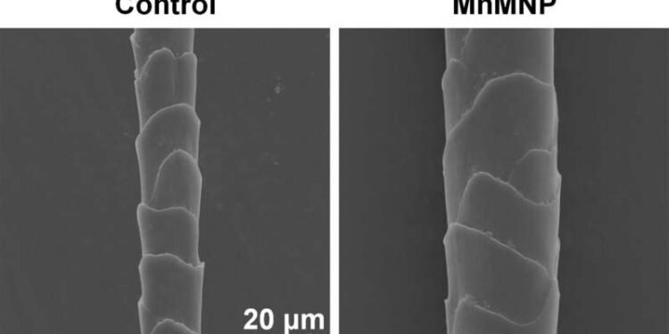 New needle patch hair in bald mice, Nano Digest.