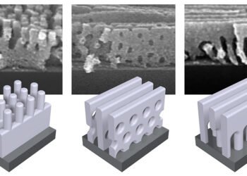 Self assembly of several new nanoscale structures, Nano Digest.