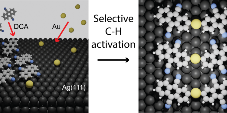 Organic Molecules, gold atoms, silver surface, Nano Digest.