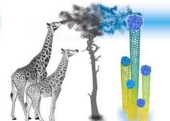 Growing pure nanotubes is a stretch but possible, Varieties of nanotubes, nano digest.