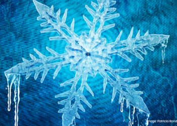 A Novel X-ray Imaging Technique to Study the Light Structure of Quantum Materials. Nano Digest.